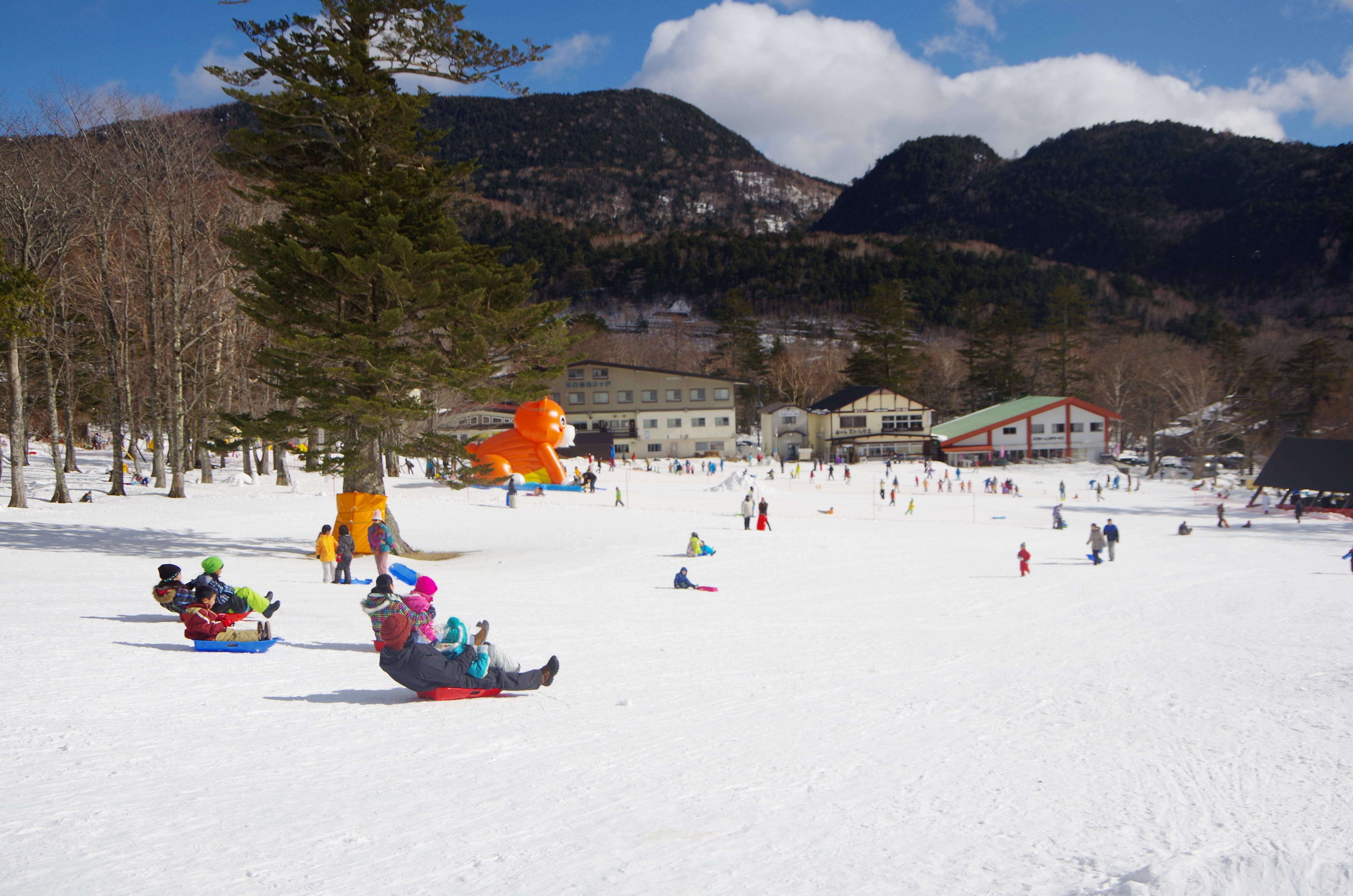 ❄️ 닛코 유모토 온천 스키장(日光湯元温泉スキー場) 이미지 1